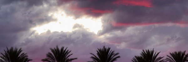 DeaddPoett Profile Banner