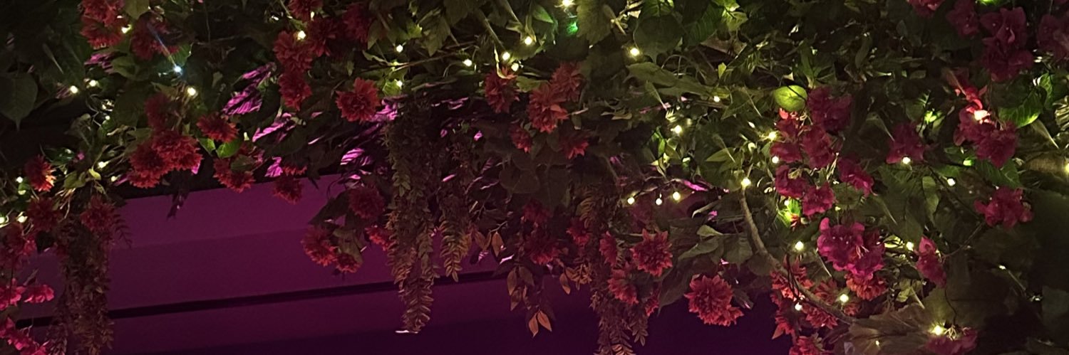 QueeeN_A's profile banner image