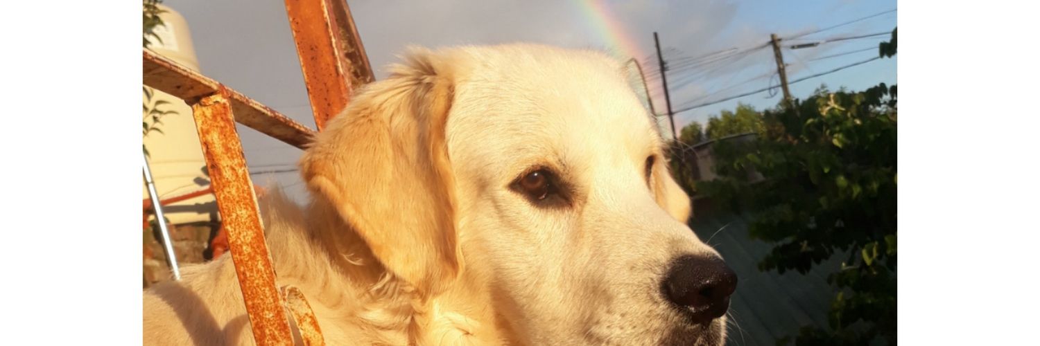 CaarGeraldine's profile banner image