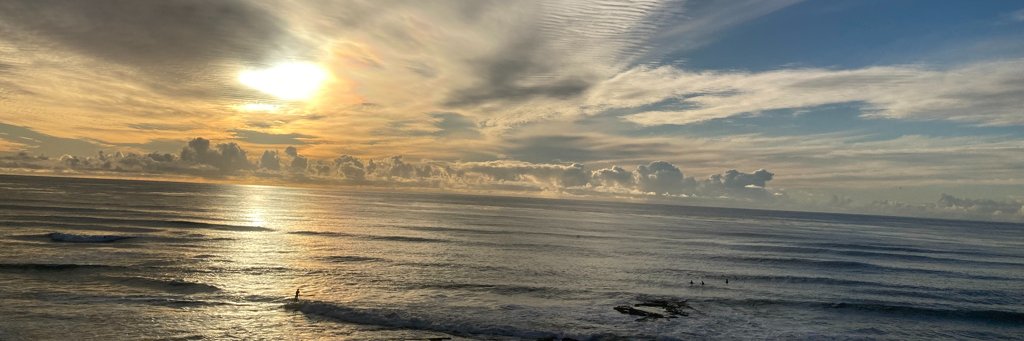 Nancy Locke Capers banner