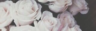 prettynbitchy_'s profile banner image