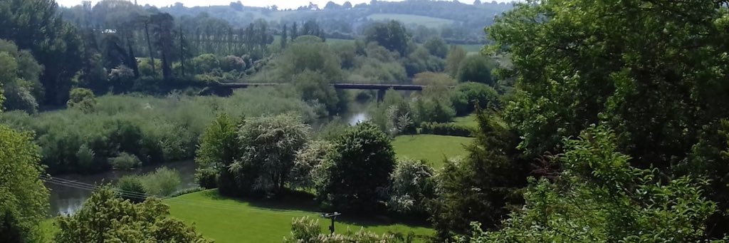 AlisonPalfrey banner