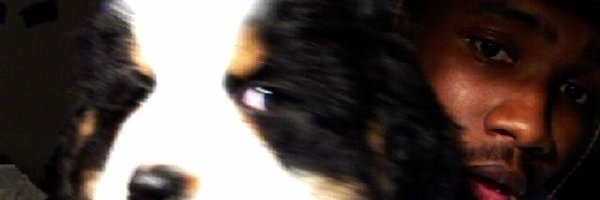 V3nussZip Profile Banner