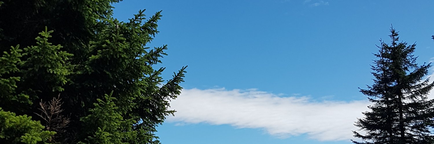 dandelions 🌿 fundraiser in pinned's banner