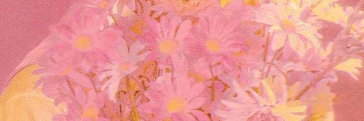 🌙 Lumini 🌙 banner