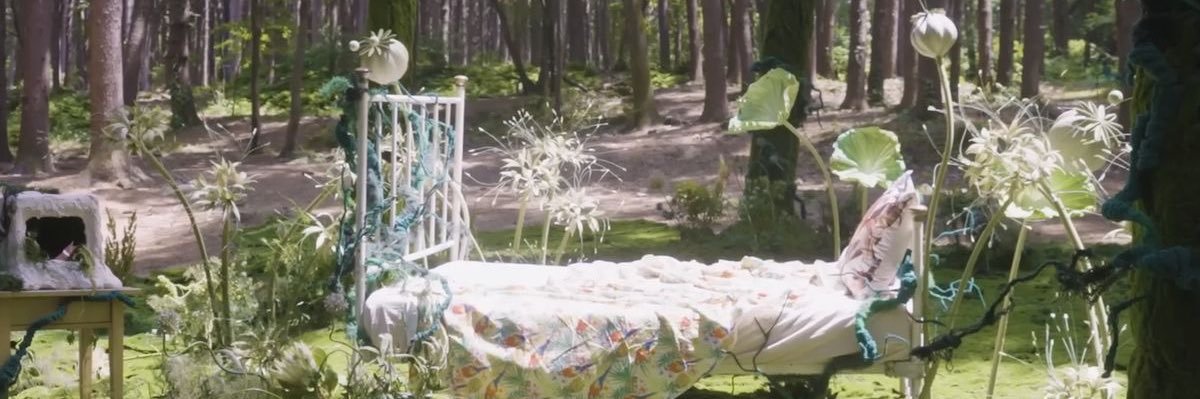 dina banner