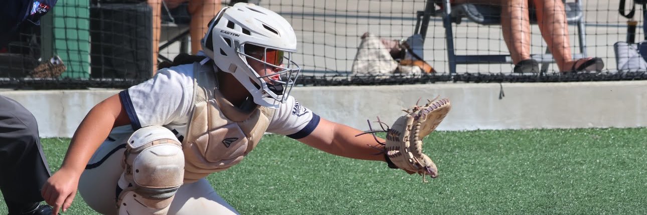 Lilly Cave 2031 banner