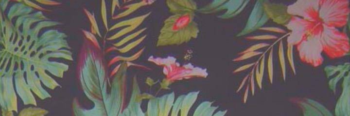 Warren_Evan11's profile banner image