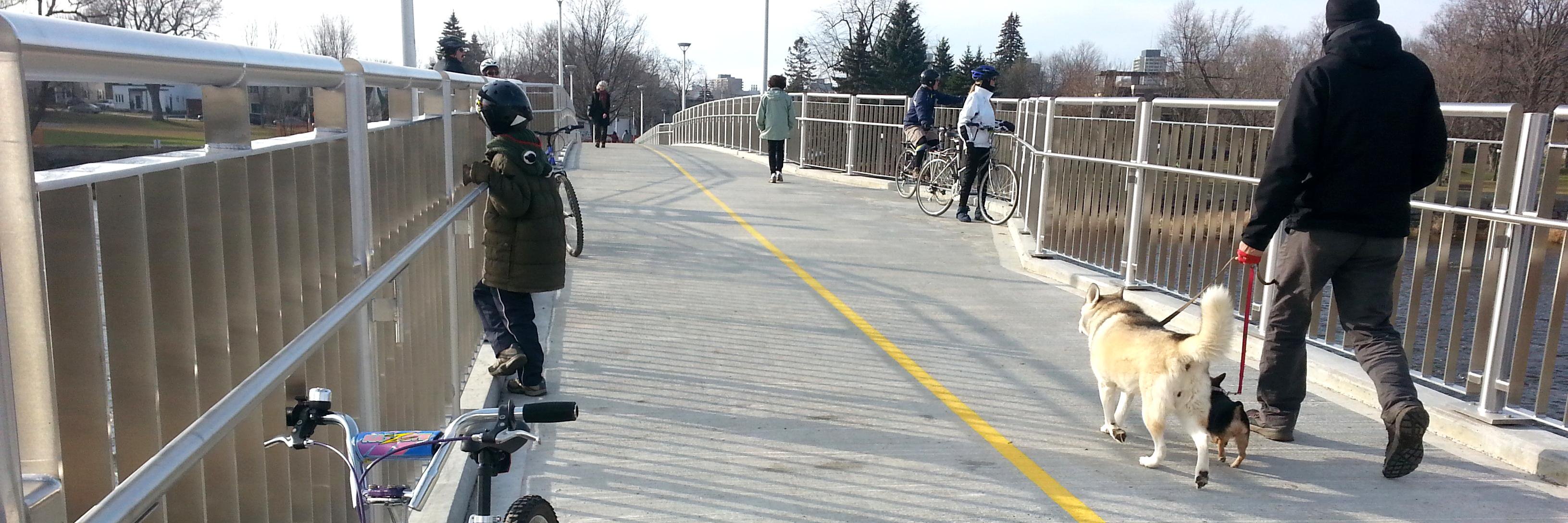 slowottawa's profile banner image