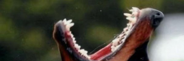 youknowmf_ Profile Banner