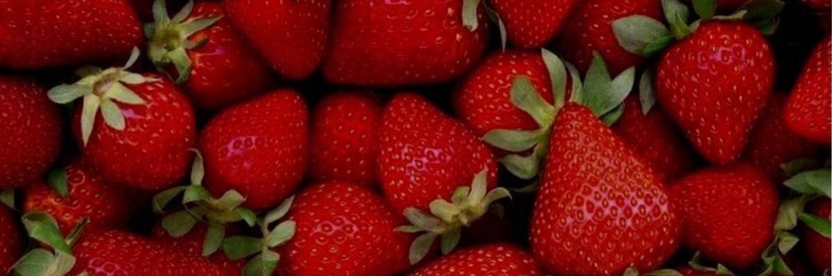 StefaV76's profile banner image