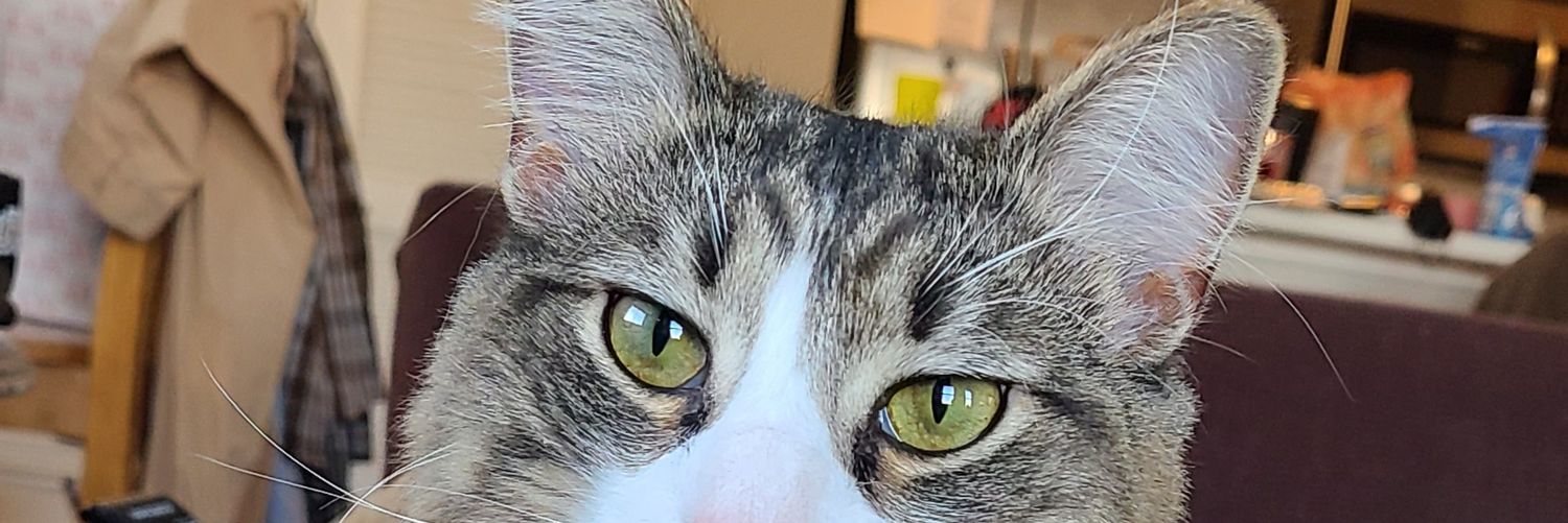 mightbelate's profile banner image