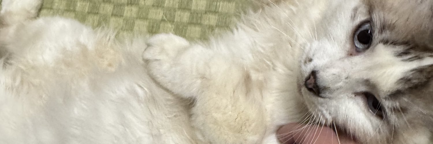 KeitEir's profile banner image