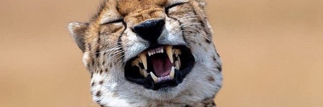 Edocaro's profile banner image