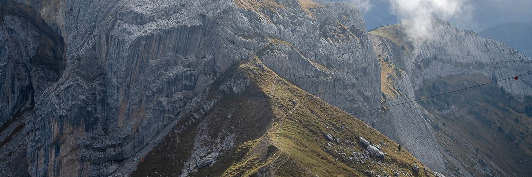 AlRocha_'s profile banner image