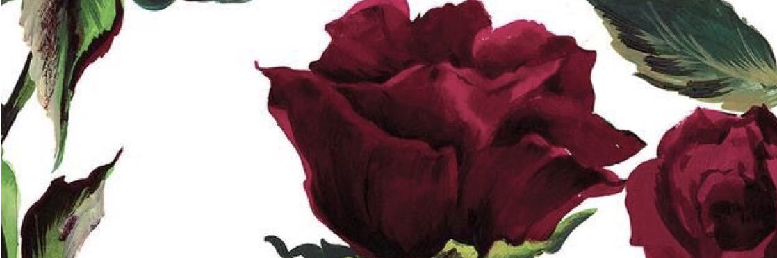 KadrieSulz's profile banner image