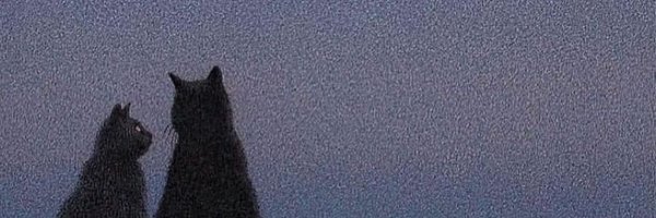 Blake9499 Profile Banner