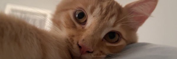 nosleepshtwt Profile Banner