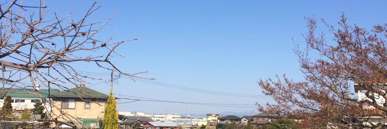 めんでる banner