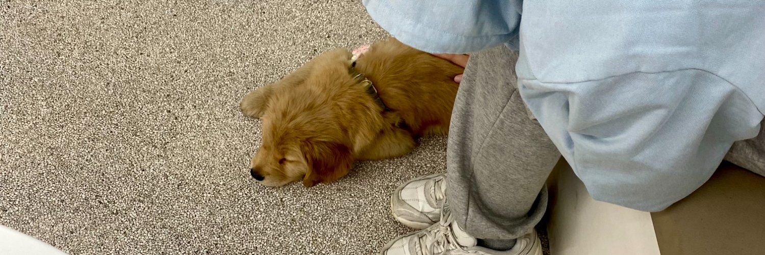 bubbletea 🌙SynF banner