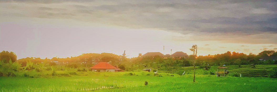 Christian Lemech banner