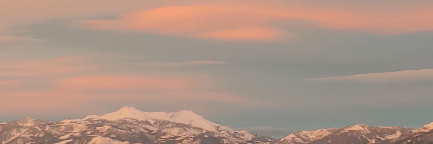 Sdsanchez banner