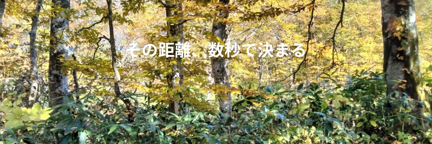 gonbei102sqd's profile banner image