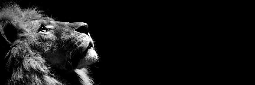 _adrian_04's profile banner image