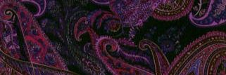 Blair's banner