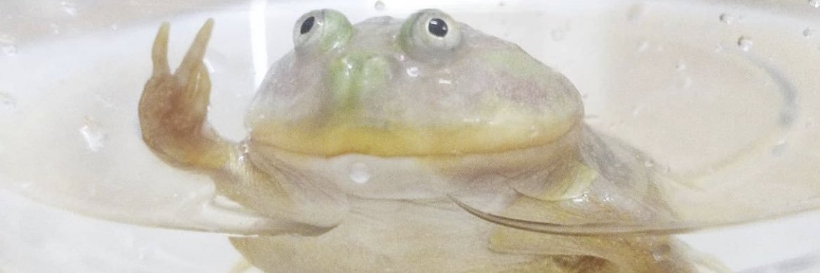 ChechuRN's profile banner image