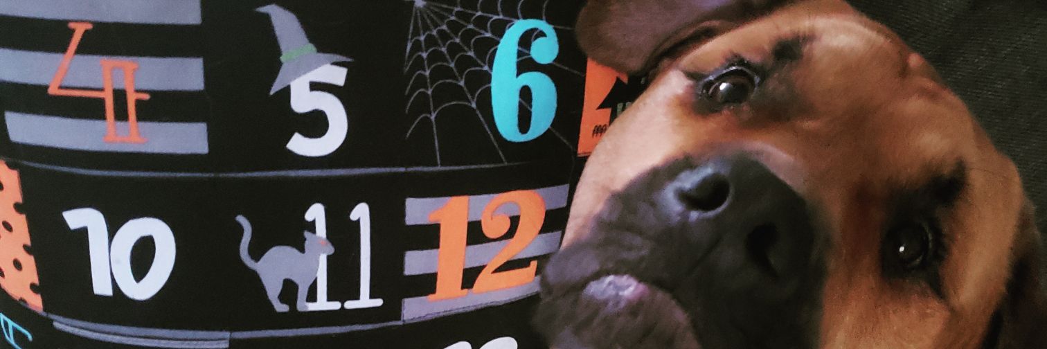melemew's profile banner image