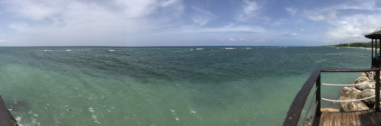 WhyYouAlwaysLying banner