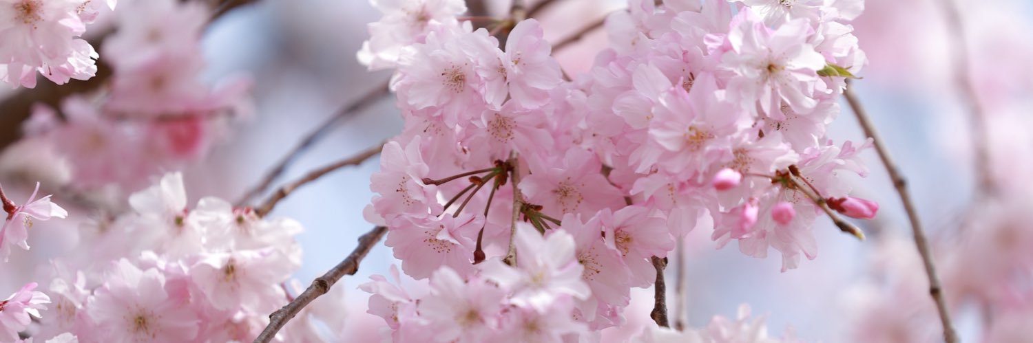Enjoy_M_style's profile banner image