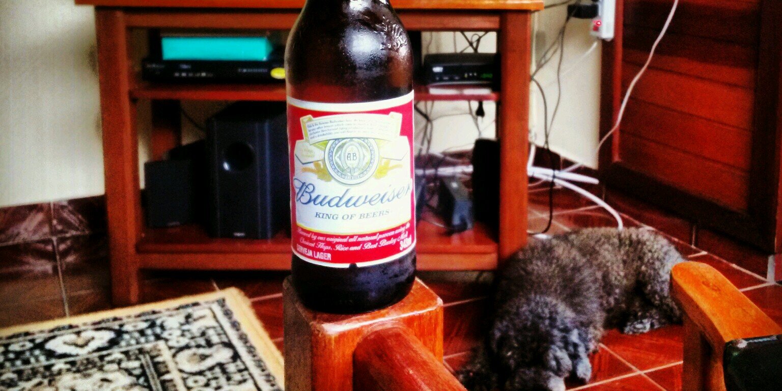 _vinihenrique's profile banner image