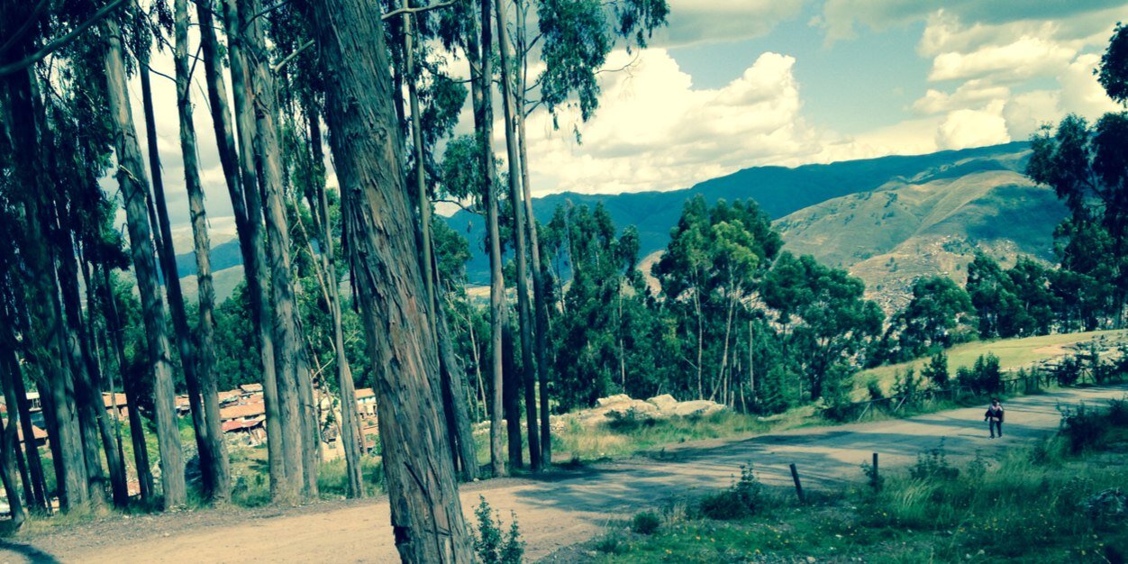 MayritaCornejo's profile banner image