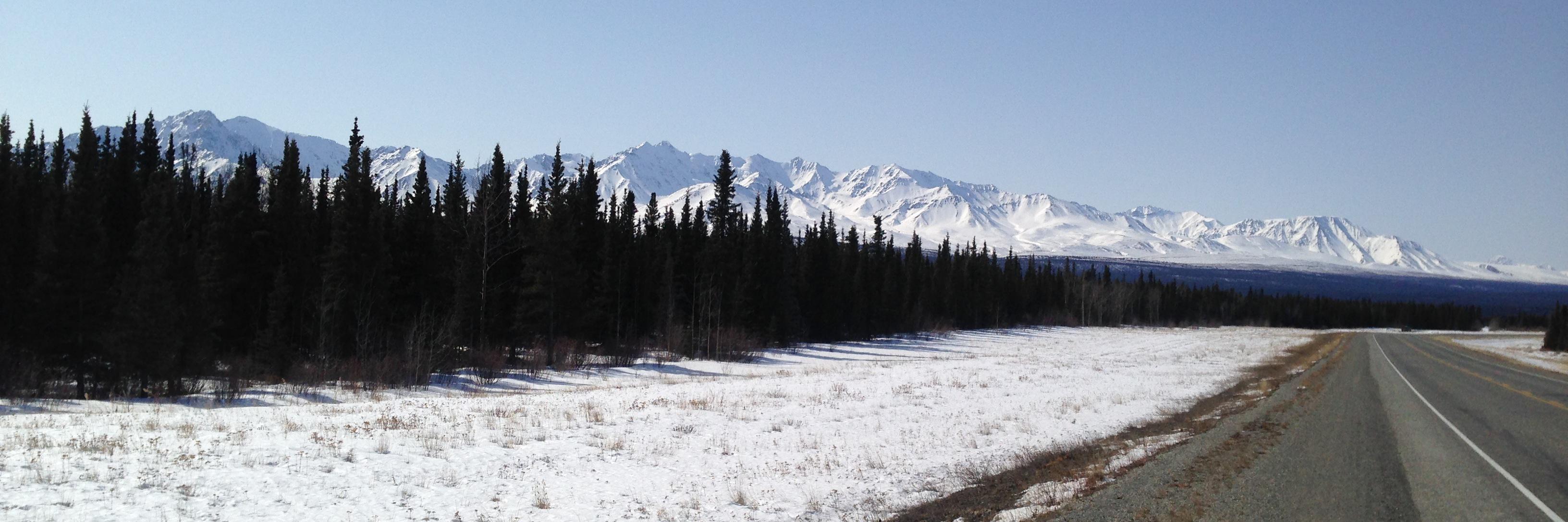 Andrew McAdam banner