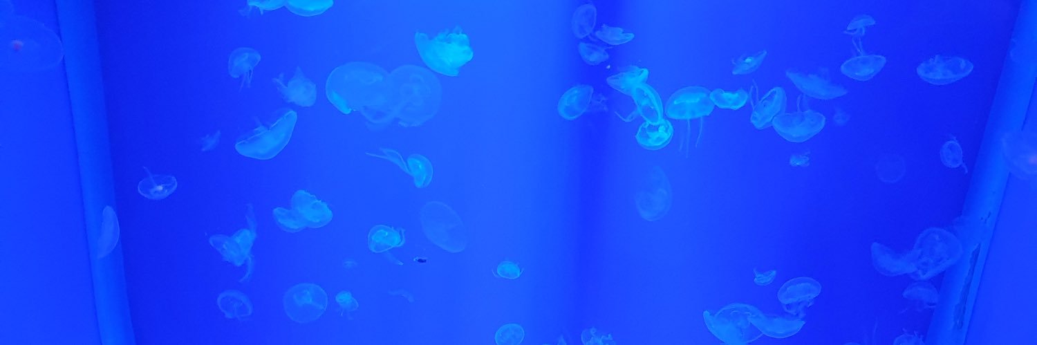 seed_0319's profile banner image