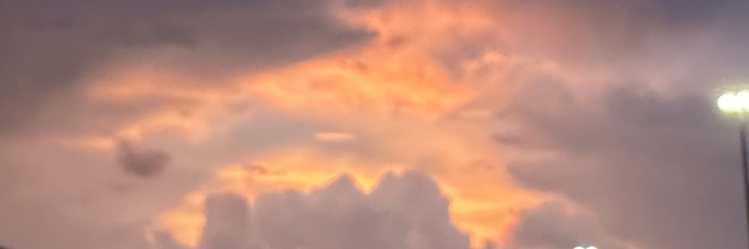 ari banner