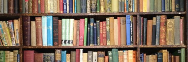 TbirdLibrary's profile banner image