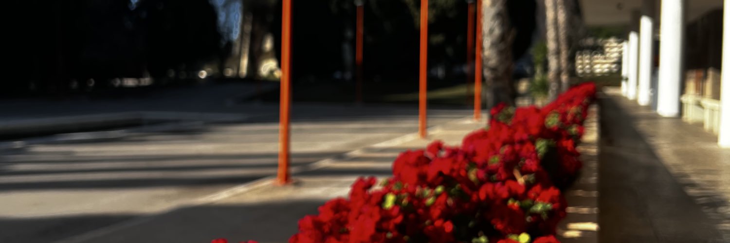 NeelMartinez01's profile banner image