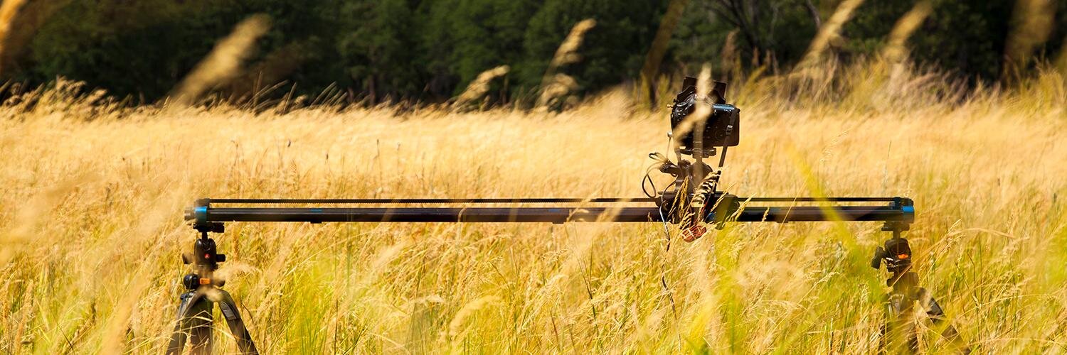 DynPerception's profile banner image