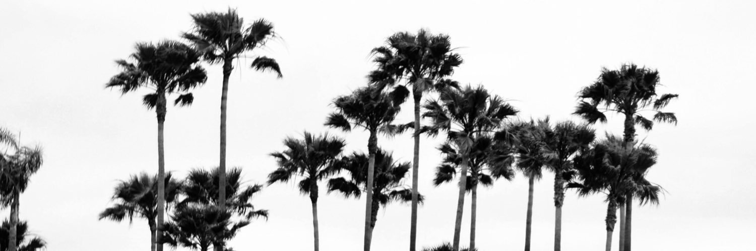 MitchMitchbrick's profile banner image