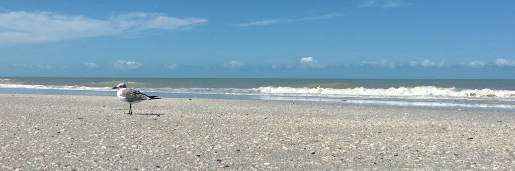 brittneyshumate's profile banner image