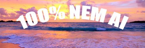nipachecao's profile banner image