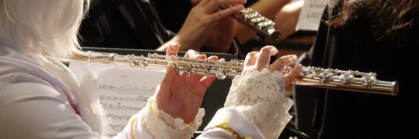 velthomerr Profile Banner