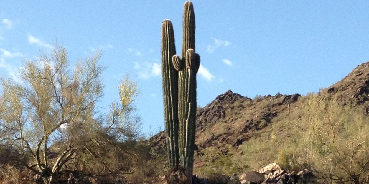 desertmaxx's profile banner image