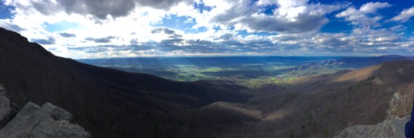 amyleew Profile Banner