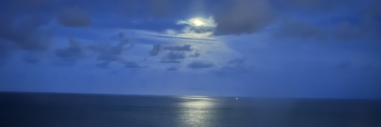 Rome 🇸🇻 banner