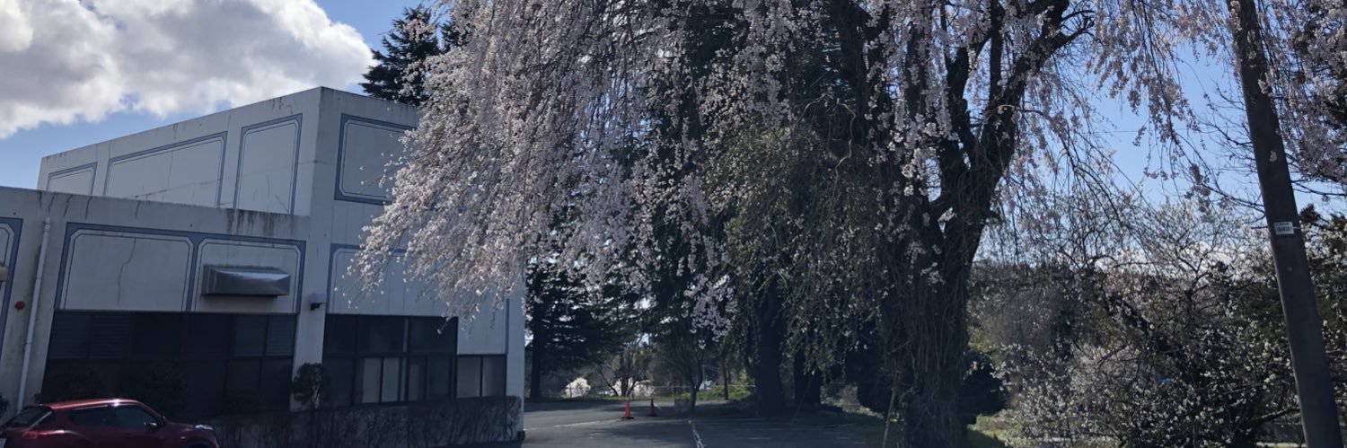 おのでらきさお banner