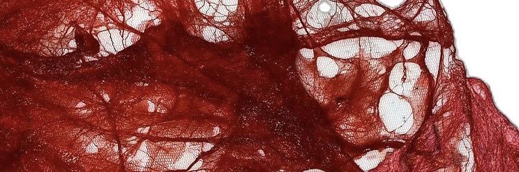 ♬ nue 🍀🪽 SAW JILUKA 25/6 banner